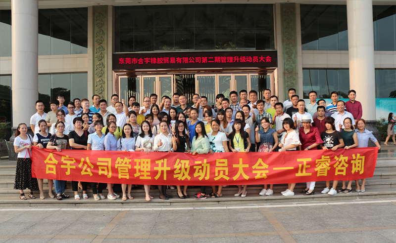 2018年東莞市（shì）合宇（yǔ）橡膠貿易有限公司第二（èr）期管理升級項目