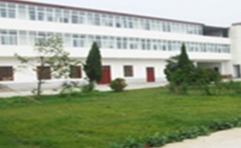 2011年3月漯河市中聯電磁線有限公司推行全麵管理升級