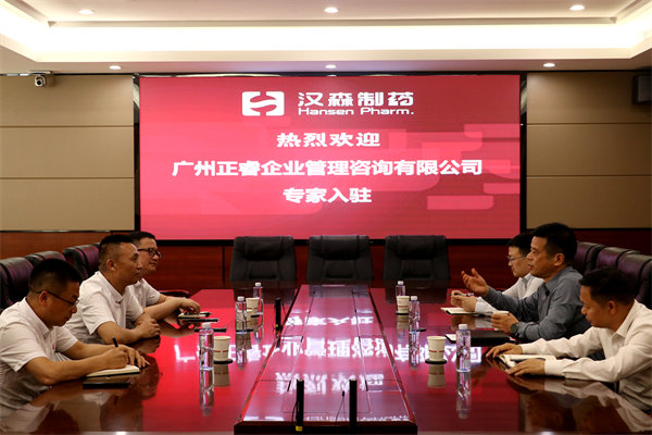 湖南漢森製藥股份有限公司精益營銷管理升級項目啟動