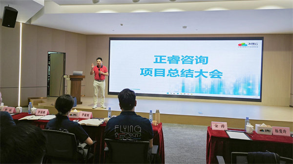 廣東飛翔雲計算有限公（gōng）司（sī）組織設計&人力資源管理升級（jí）項目圓（yuán）滿成功