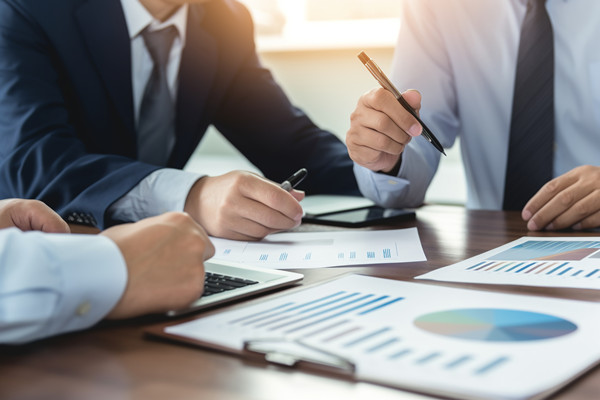 預算監控與調整機製如何建立，確保預算執行（háng）到位？