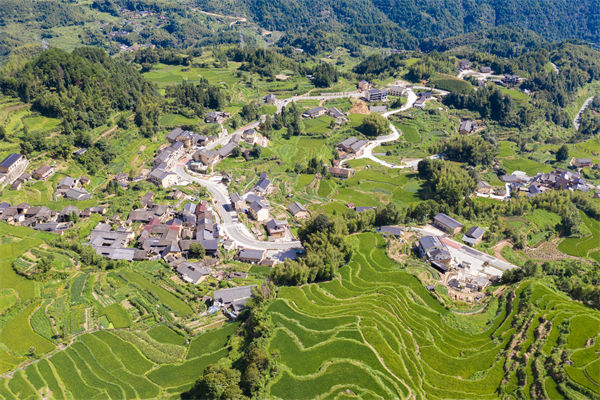 麗水人力資源谘詢公司如（rú）何優化（huà）企業人才布（bù）局？