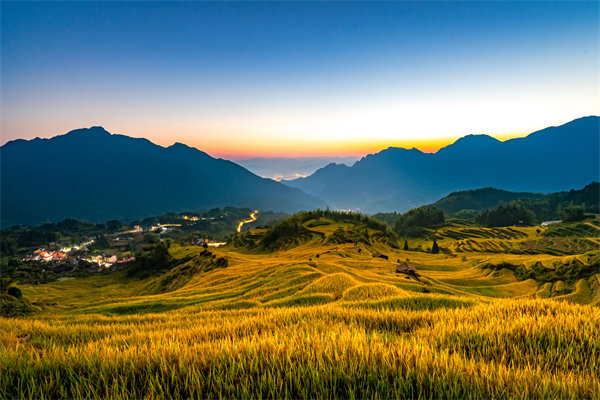 麗水組織（zhī）規劃谘詢公司如何為企業構建高效組織架構？