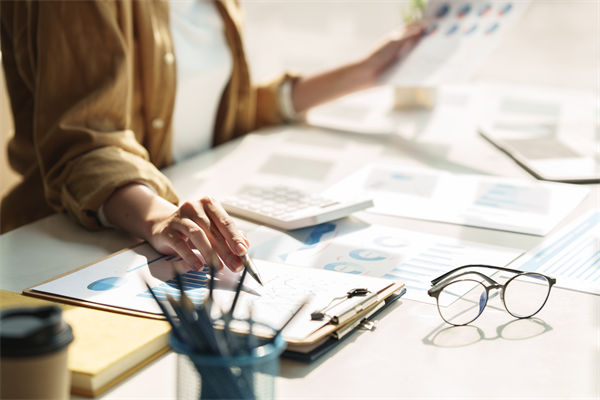 在預算執行中（zhōng），如何確保監控與調整機製的有效性？