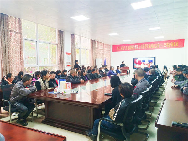 浙江琳瑞汽車電器股份有限（xiàn）公司係統管理升級谘詢項目啟動（dòng）