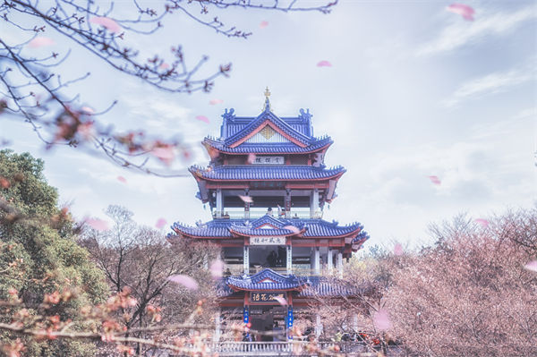 供（gòng）應鏈成本居高不下，無錫供應鏈谘詢公司如何精準砍出利（lì）潤空間？