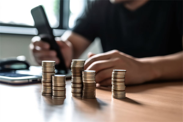 預算過程（chéng）監管缺，如何有效強化（huà）預算全程的管控力度？