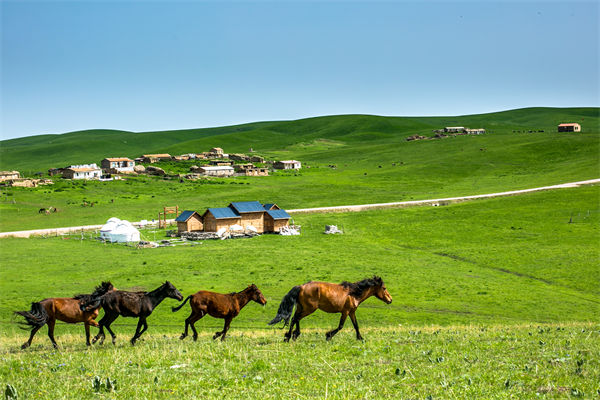 飛新疆的（de）機票價格漲爆了，什麽情況？是營銷（xiāo）炒作？