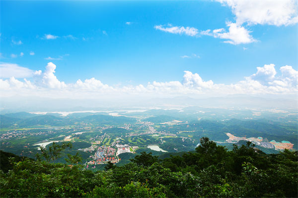 企業戰略飄在半空落地（dì）難，惠州（zhōu）戰略谘詢公司能錨定方向嗎？