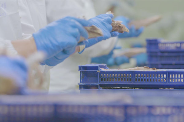 本土駐廠精益生產谘詢哪家強，能快速提升產線流轉（zhuǎn）效率麽？