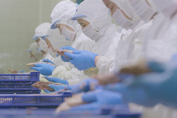 製造業薪酬績效谘詢公司（sī）哪家好，產線效率提升如何（hé）掛鉤？