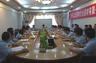 企業戰略谘詢案例