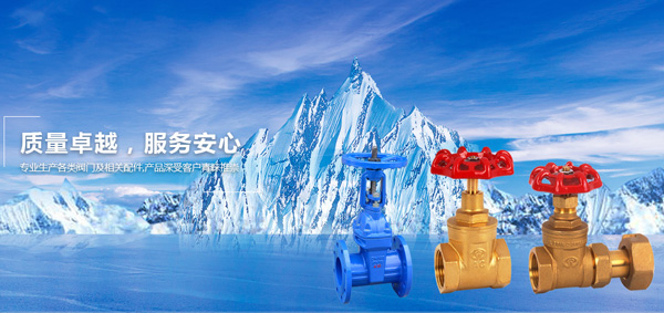 寧波日（rì）安閥（fá）門有（yǒu）限公司