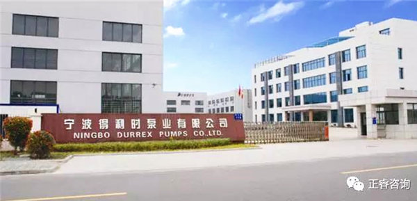 寧波得利時（shí）泵業有限公（gōng）司