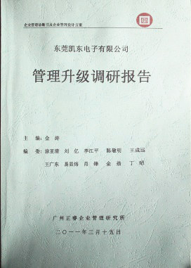 2012年4月5日，www.17c谘詢向（xiàng）潔麗決策層陳述調研報告
