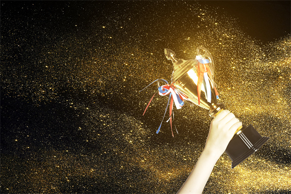 薪酬績效谘詢如何促進企（qǐ）業文化和價值觀的落實（shí）？