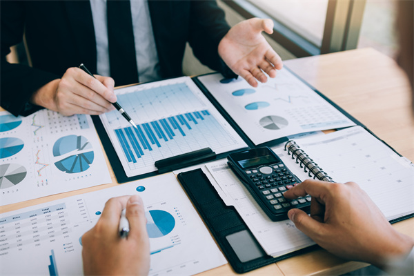 企（qǐ）業預算管理谘詢公司