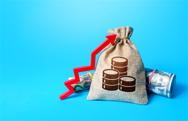 「預算管理谘詢」如何在不同階段製定不同的預算（suàn）計劃？