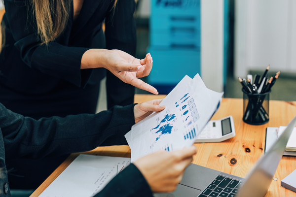 預算分析谘詢（xún）：提供分析工具與策（cè）略，幫助企業發現問題