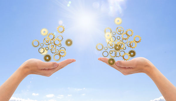 多品牌戰略：協（xié）同作戰，共創（chuàng）輝煌