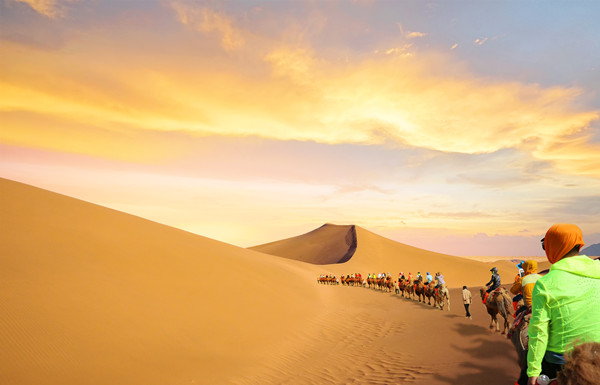 理（lǐ）論與實踐的完美結合：深入解析（xī）企業管（guǎn）理的奧秘