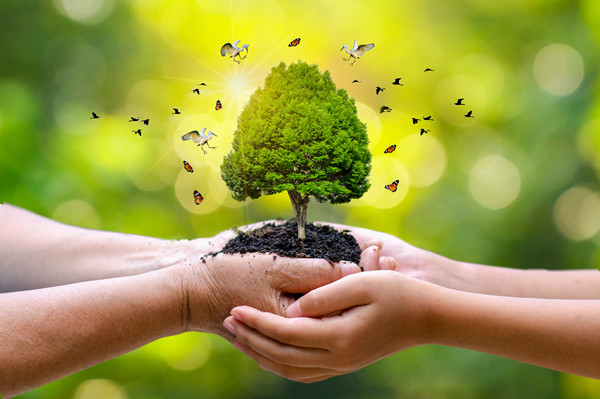 塑造未來領導者：從領（lǐng）導力培養到企業可（kě）持續發展