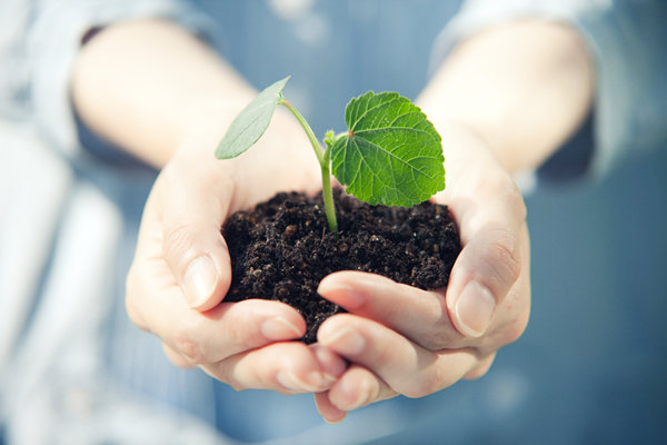 企業管理中的社（shè）會責任：構建可持續發展的（de）商業模式