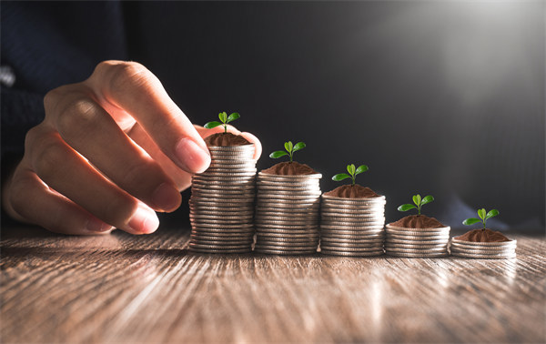 從集團管（guǎn）控到企業成長：培育可持續發展的競爭優勢（shì）