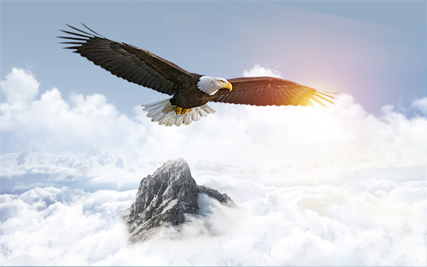 組織規（guī）劃引領企業變革，塑造全新管理模式與未來