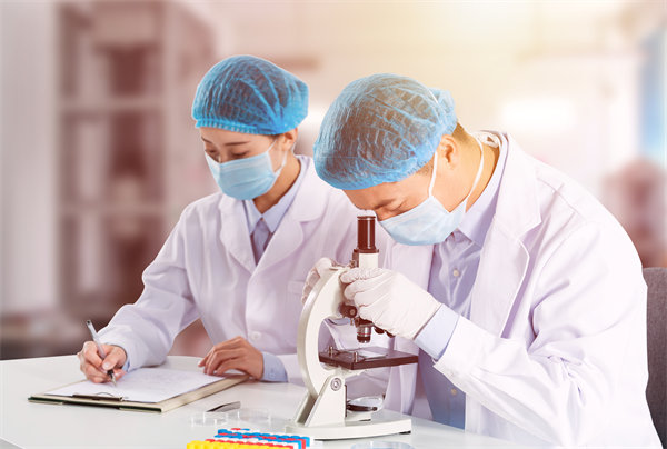 精細化組織（zhī）規劃：推動企業（yè）持續發展的關鍵要（yào）素