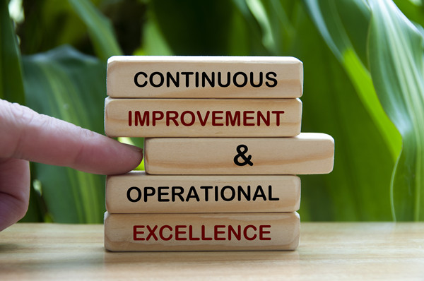 深（shēn）化精益管理理念，打造高效靈活的生產體係