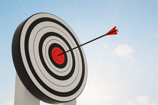 如何通過集團管控，提升整體運營效率與（yǔ）競爭力？