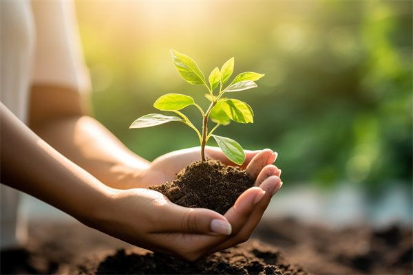 可持續（xù）發展（zhǎn）成為趨勢，企業如何融入綠色戰略以促增長？