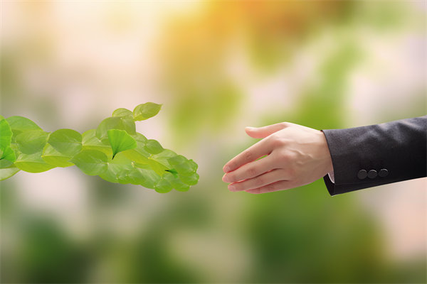 可（kě）持續發展成（chéng）為趨勢，企業如何融入綠（lǜ）色戰略以促增長？