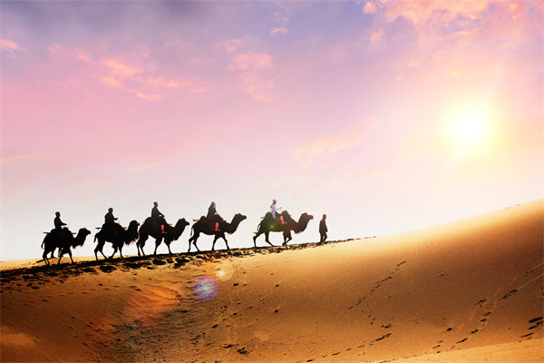 企業文化在人（rén）力資源管理中，扮演（yǎn）著怎樣（yàng）的角色？