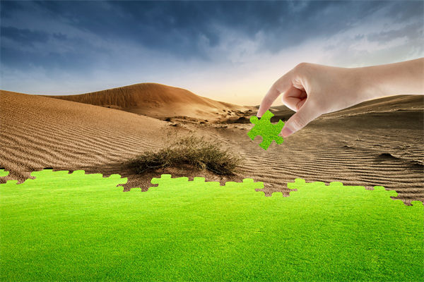 企（qǐ）業深陷困境，管理谘詢如何以雷霆手段打破發展僵（jiāng）局（jú）？