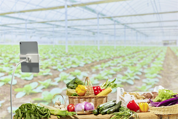 營（yíng）銷（xiāo）管理角度（dù）分析：直（zhí）播帶貨靠（kào）的不是“演技”而是（shì）誠信