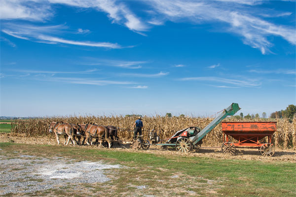 從績效管（guǎn）理（lǐ）角度分析（xī）：中國買（mǎi）巴（bā）西大豆讓美國農民慌了