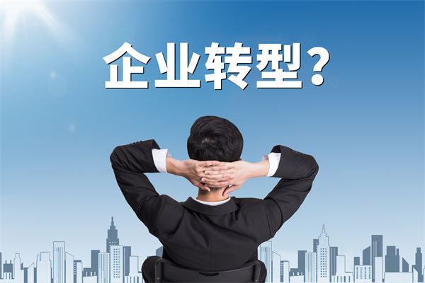 企業轉型無方向，數智化谘詢公司能否指引明路？