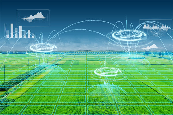 溫州種出2.1米高巨（jù）型水（shuǐ）稻，精（jīng）益生產怎麽看？