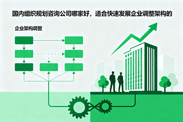 國內（nèi）組織規劃谘詢公司哪家好，適合快（kuài）速發（fā）展企業調整架構的