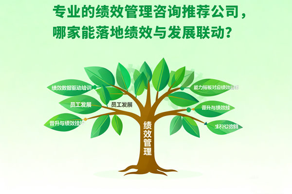 專業的績效管理谘詢推薦公司，哪家能落地績效與發（fā）展聯動？