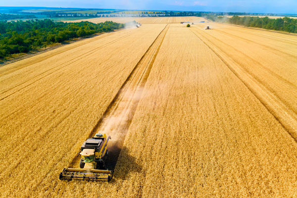 農（nóng）業行業供應鏈（liàn）管理谘詢公司推薦，能解農資采購成本高問題嗎？